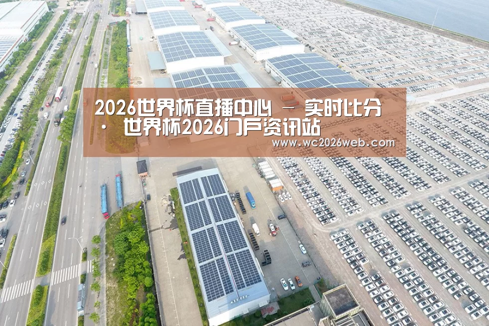 案例展示一