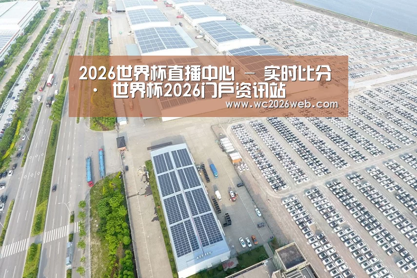 案例展示三