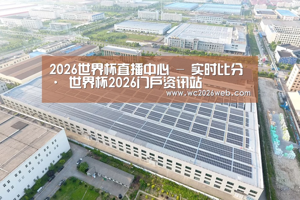案例展示四