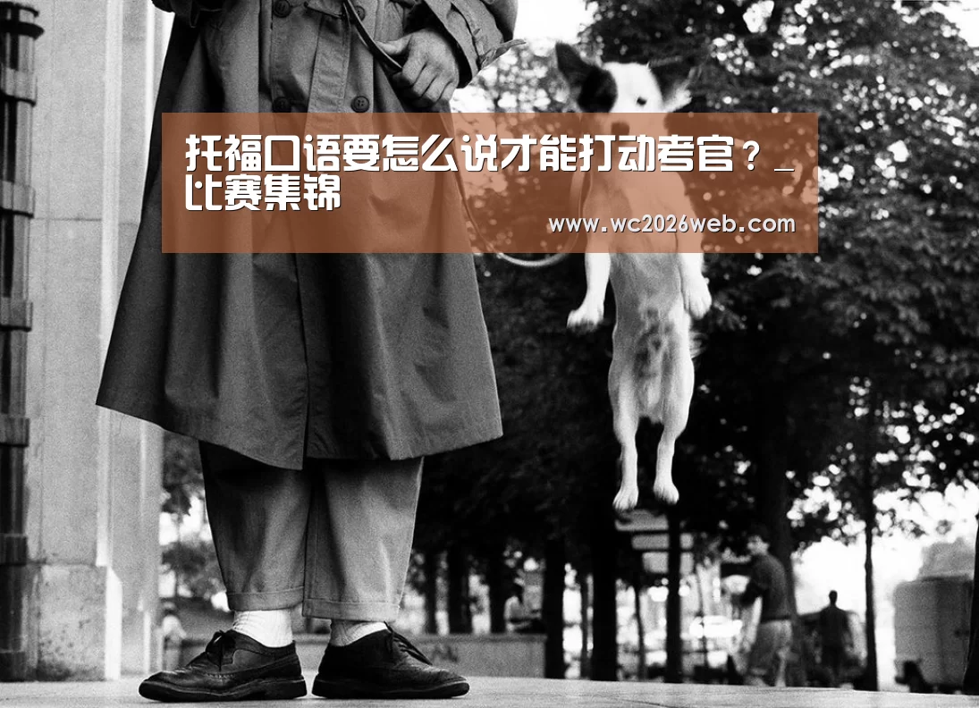 世界杯直播