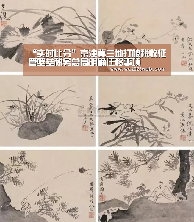 世界杯