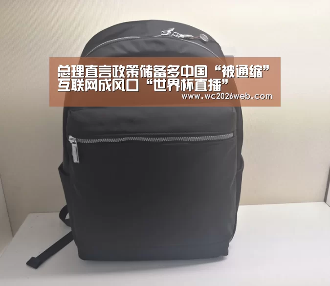 总理直言政策储备多中国“被通缩”互联网成